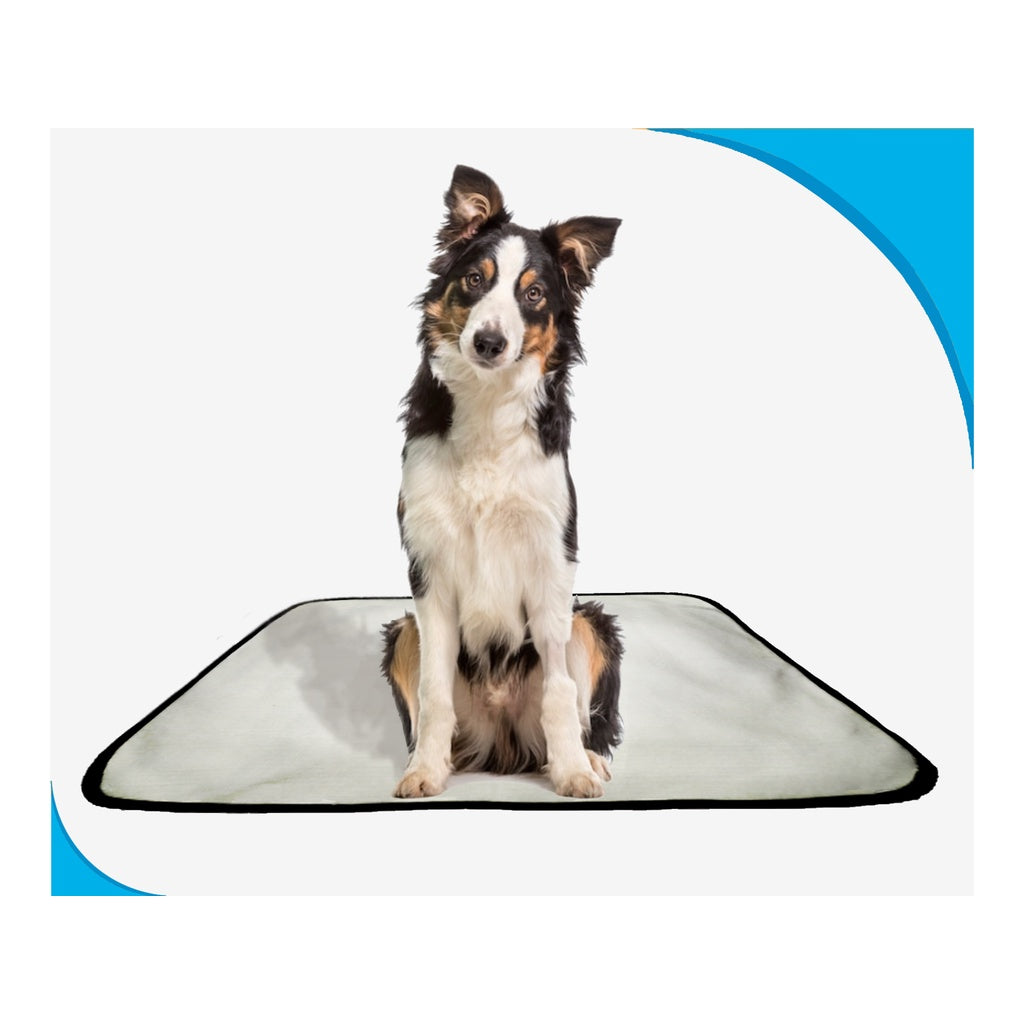 TAPETE CANINO PET ESTRATÉGICO EM OFERTA 1 UNIDADE M 60x80 CM